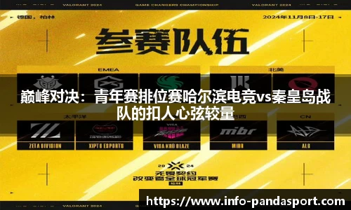 熊猫体育官网