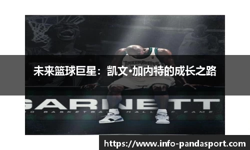 熊猫体育平台