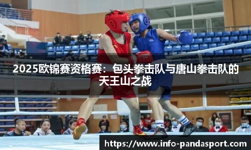 熊猫体育官网