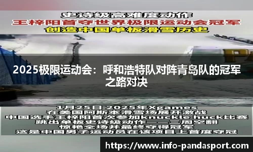 熊猫体育官网